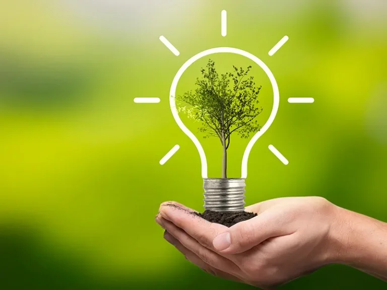 beneficios-ecologicos